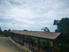 -广州市帽峰山景区