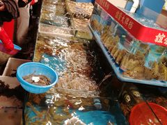 水产区-谊荣海鲜大牌档(石湖店)