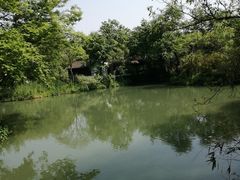 -西溪国家湿地公园