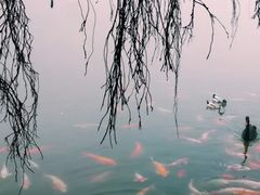 -东部华侨城