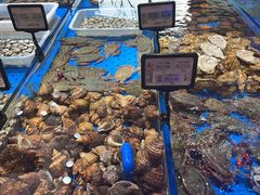 -鲜得莱渔港·小平岛海胆馆(七贤岭店)