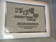 -洛阳古墓博物馆