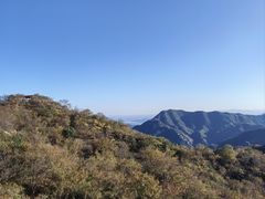-大岭沟猕猴桃谷风景区