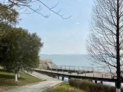-西京湾花海