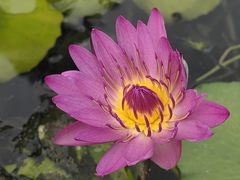 -三亚南山文化旅游区