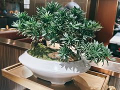 -海底捞火锅(高科广场店)