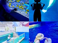 -秦皇岛乐岛海洋王国