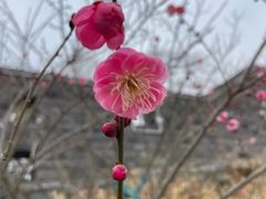 -幕燕滨江·长江观音景区