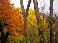 -南窖乡水峪村山情农家