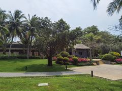 -海南清水湾莱佛士酒店