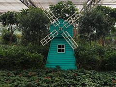 -南宫五洲植物乐园