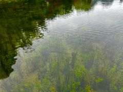 -靖西鹅泉风景区