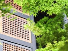 -鱼桥巷·美学川菜