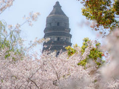 -虎丘山风景名胜区
