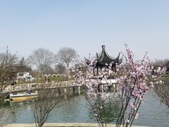 -苏州上方山国家森林公园