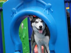 -星际传奇(新都七一国际广场店)