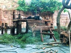 -泉州海丝野生动物世界