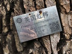 -北京大学-燕南食堂