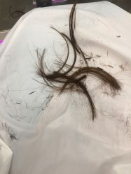 -MY HAIR ARDOR