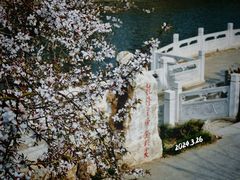 -桃花堤公园