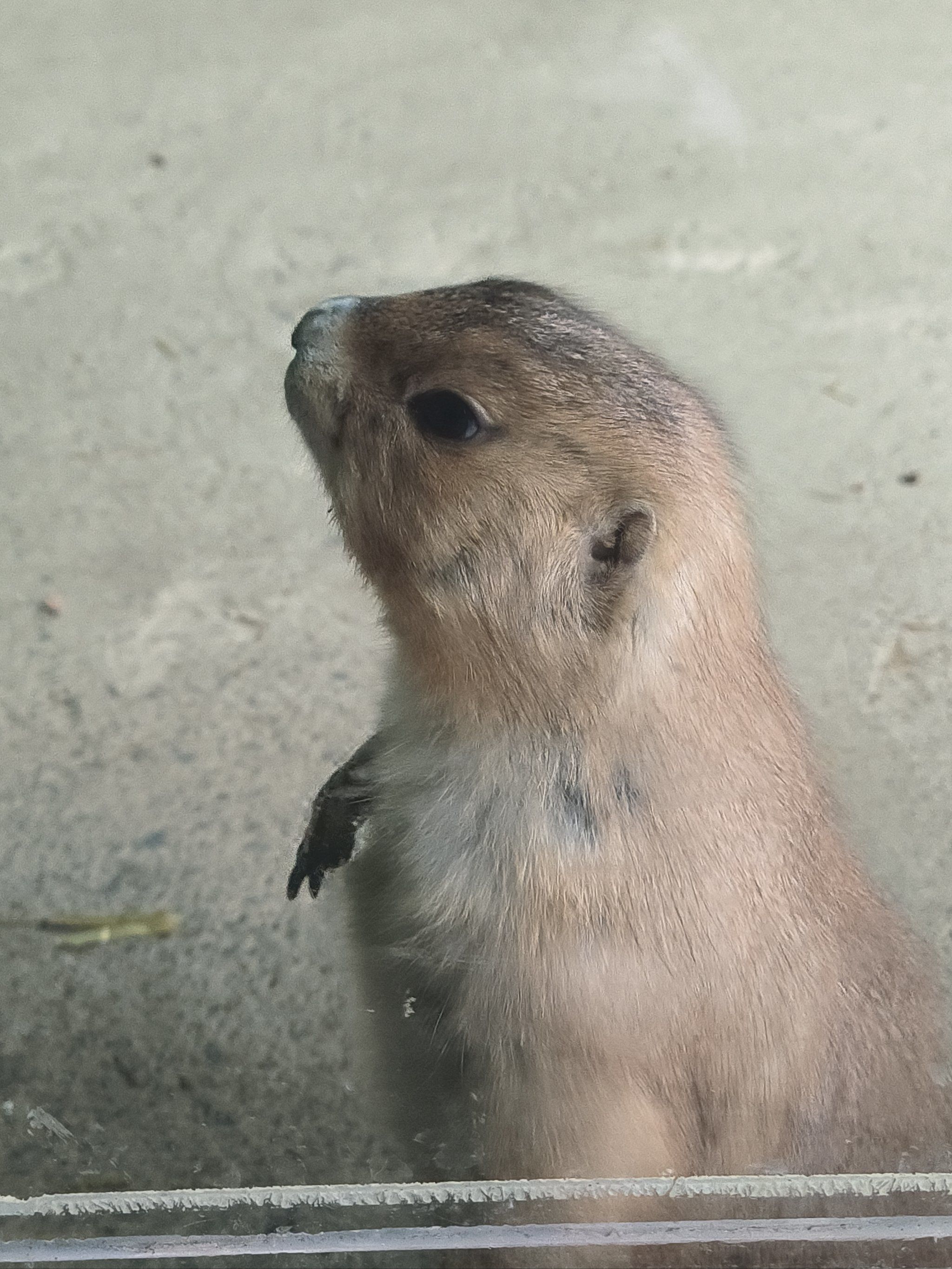 杭州野生动物世界