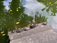 -南岳衡山风景名胜区-南岳大庙