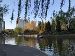 -团结湖公园