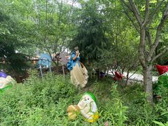 -合肥滨湖国家森林公园