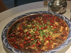 来凤鱼-新概念来凤鱼(璧山店)