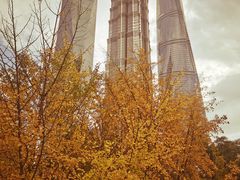 -陆家嘴中心绿地