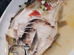 -在莲野·湖北民间菜·头牌松滋鸡(光谷步行街店)