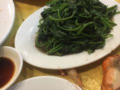 -鸿达渔港