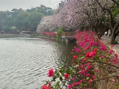 -星湖旅游景区七星岩