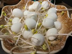 -蓉城江北老灶火锅(春熙路店)