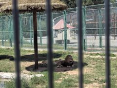 -鄂尔多斯野生动物园