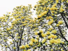 -青州市云门山风景区