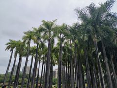 -深圳国际园林花卉博览园