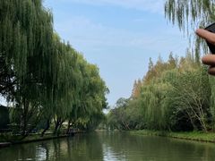 -同里国家湿地公园