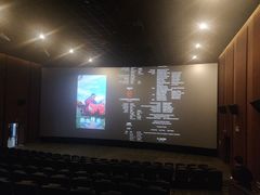 -汉阳天河电影城(王家湾店)