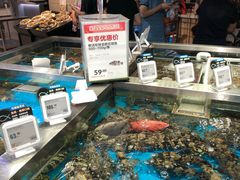 水产区-盒马鲜生(189购物中心店)