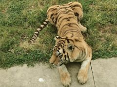 -西安秦岭野生动物园