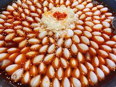 -水哥卜卜贝(东晓·胜汇里店)