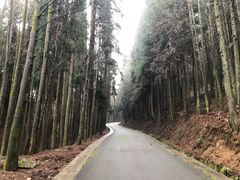 -山王坪喀斯特国家生态公园