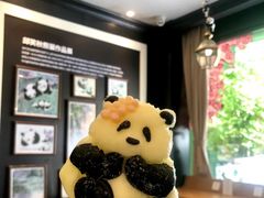 -轩客会(熊猫书店)