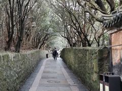 -普陀山风景区-佛顶山