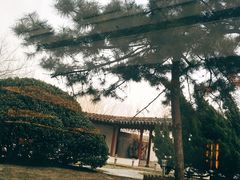 -亮马河饭店翠雅咖啡厅