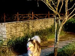 -御霞苑泥烩鸡休闲农庄