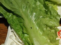 android_upload_pic-傣妹火锅(南京东路一店)