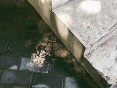 -春庄咖啡SpringHues(钟楼小区店)