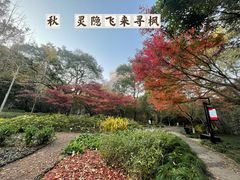 -灵隐飞来峰景区